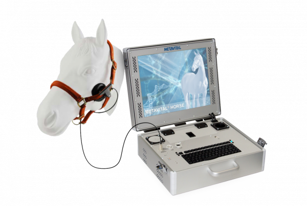 Horse System Bild